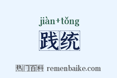 践统是什么意思的图片